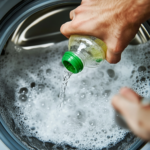 Never Uproot Purslane If It Appears In Your Garden